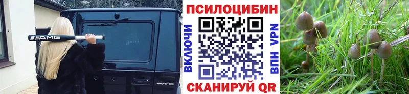 магазин    Мосальск  Галлюциногенные грибы Magic Shrooms 